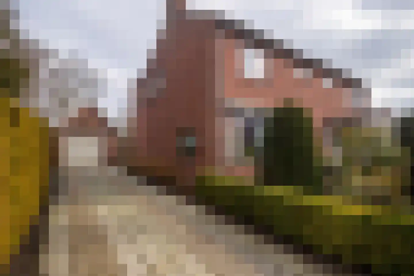 Schoollaan 3 A Heiligerlee thumbnail 43