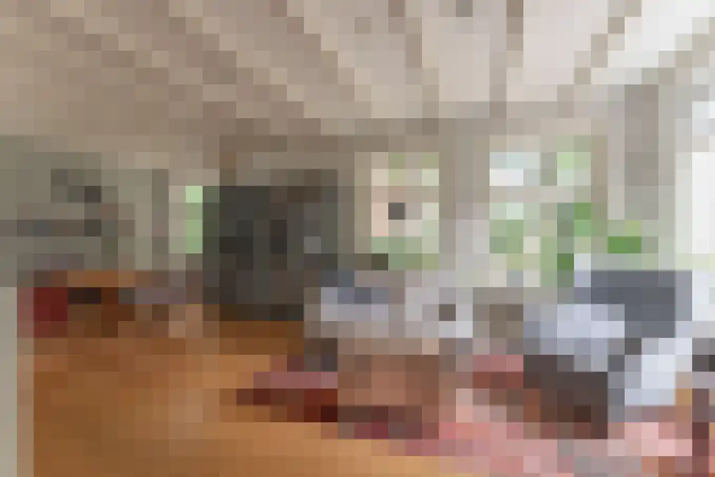 Schoollaan 4 Hem thumbnail 14