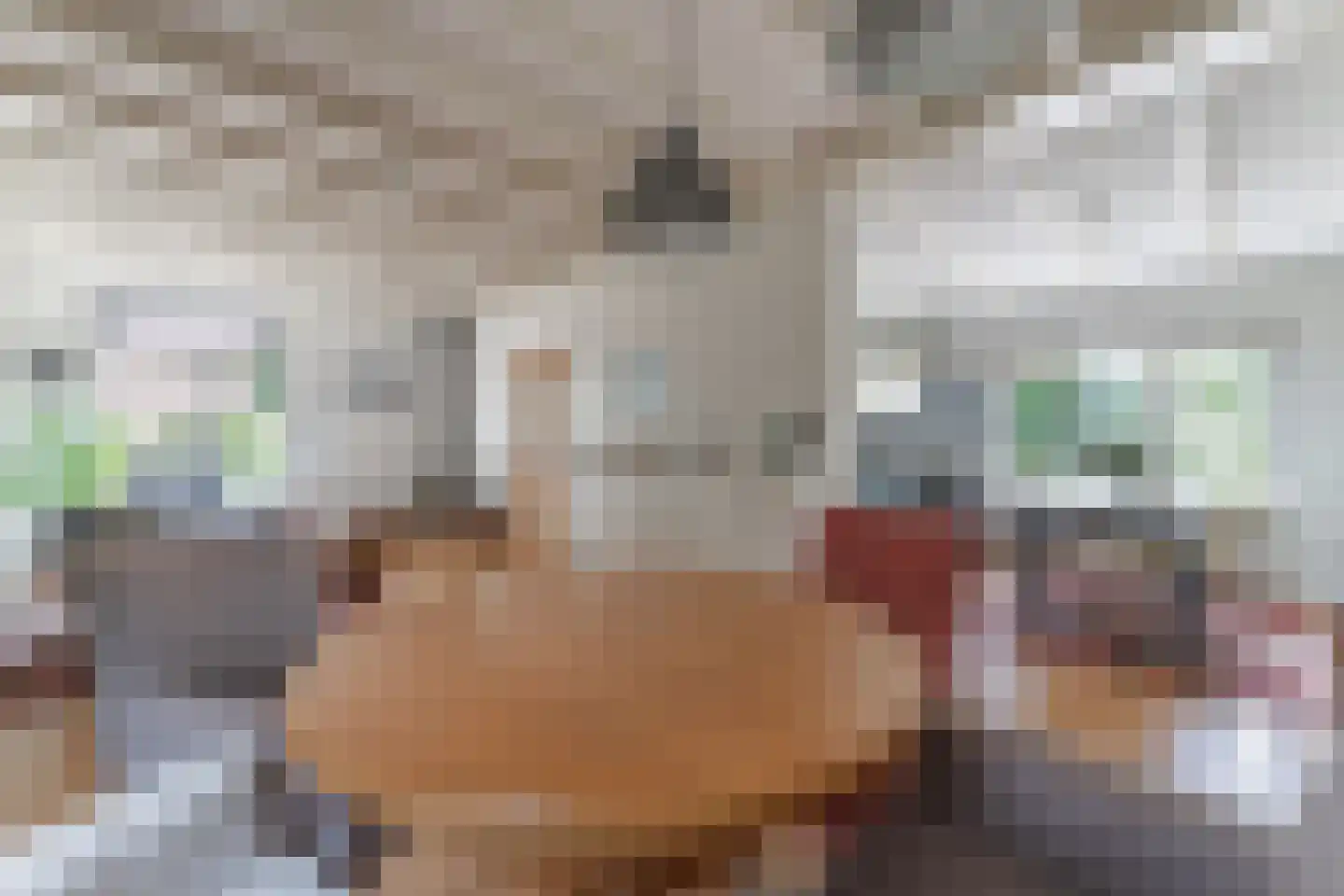 Schoollaan 4 Hem thumbnail 15