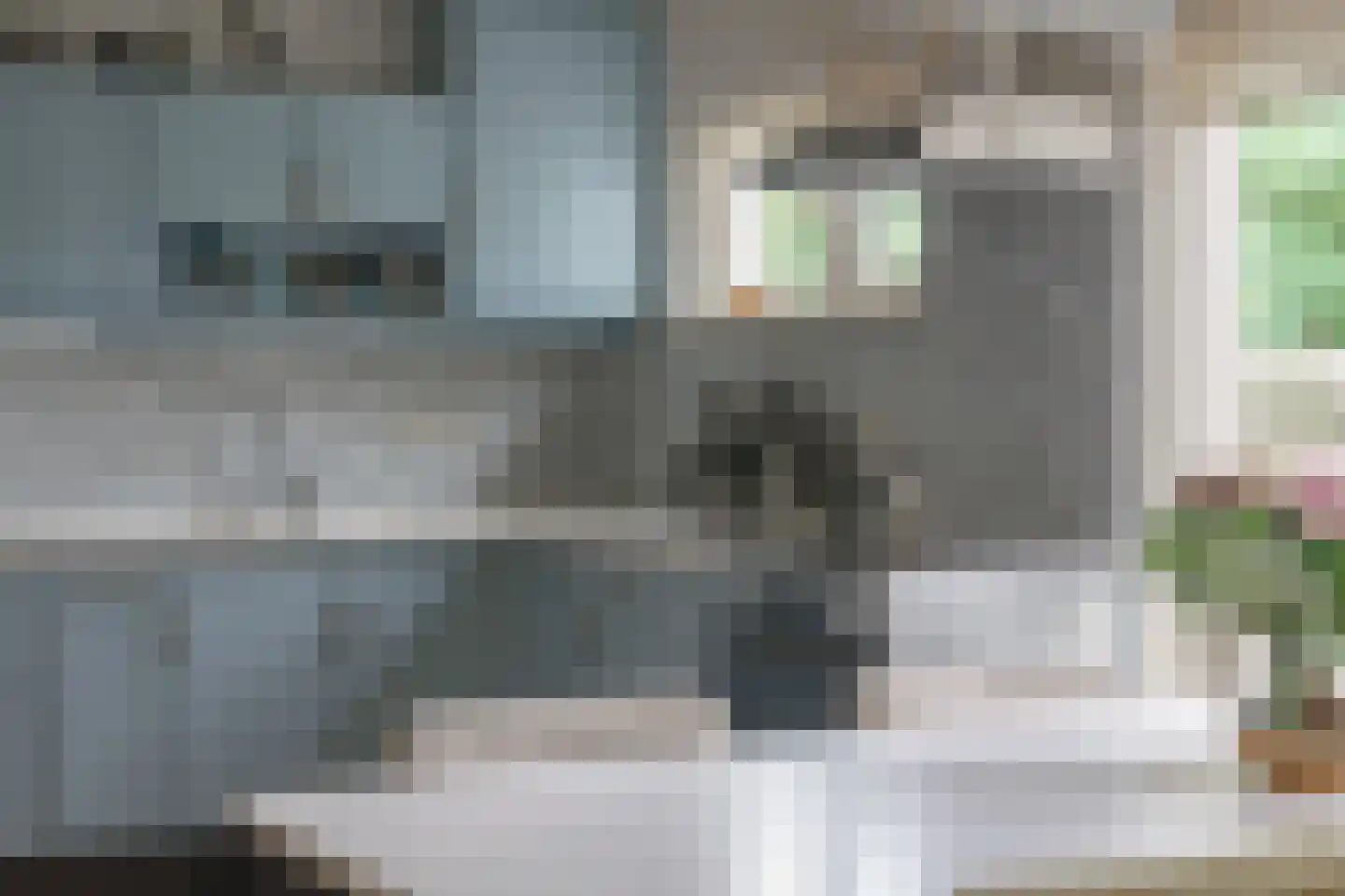 Schoollaan 4 Hem thumbnail 20