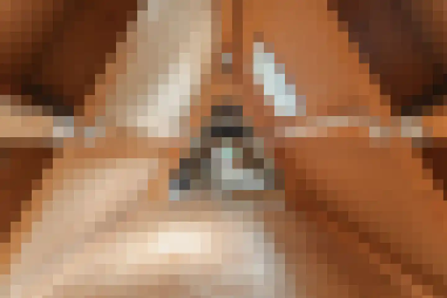Schoollaan 4 Hem thumbnail 45