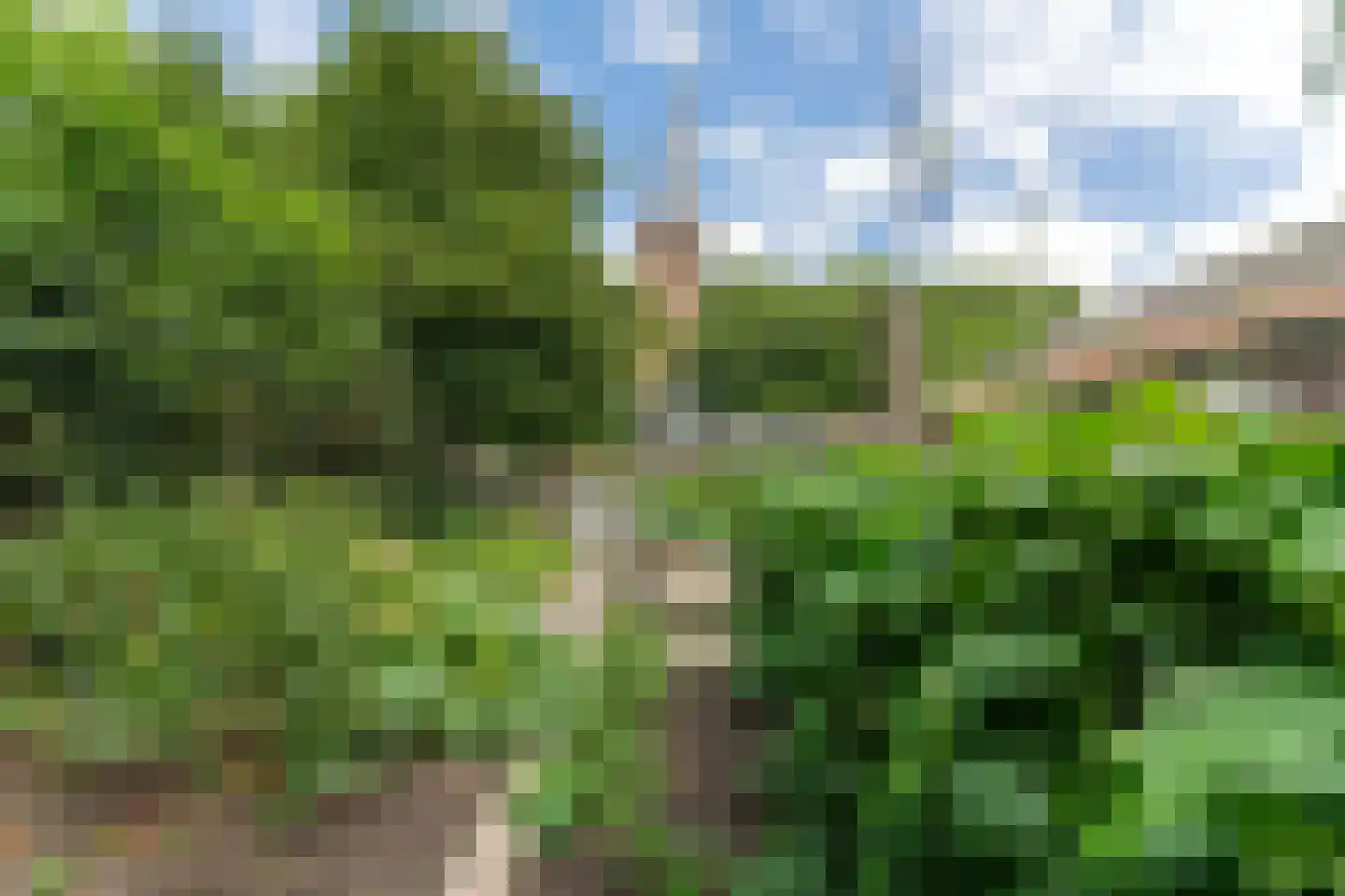 Schoollaan 4 Hem thumbnail 51