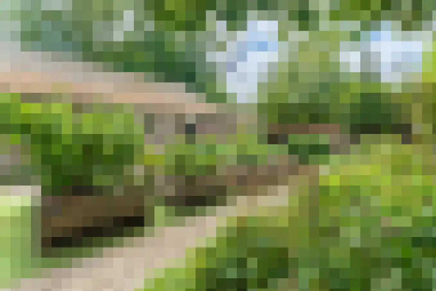 Schoollaan 4 Hem thumbnail 53
