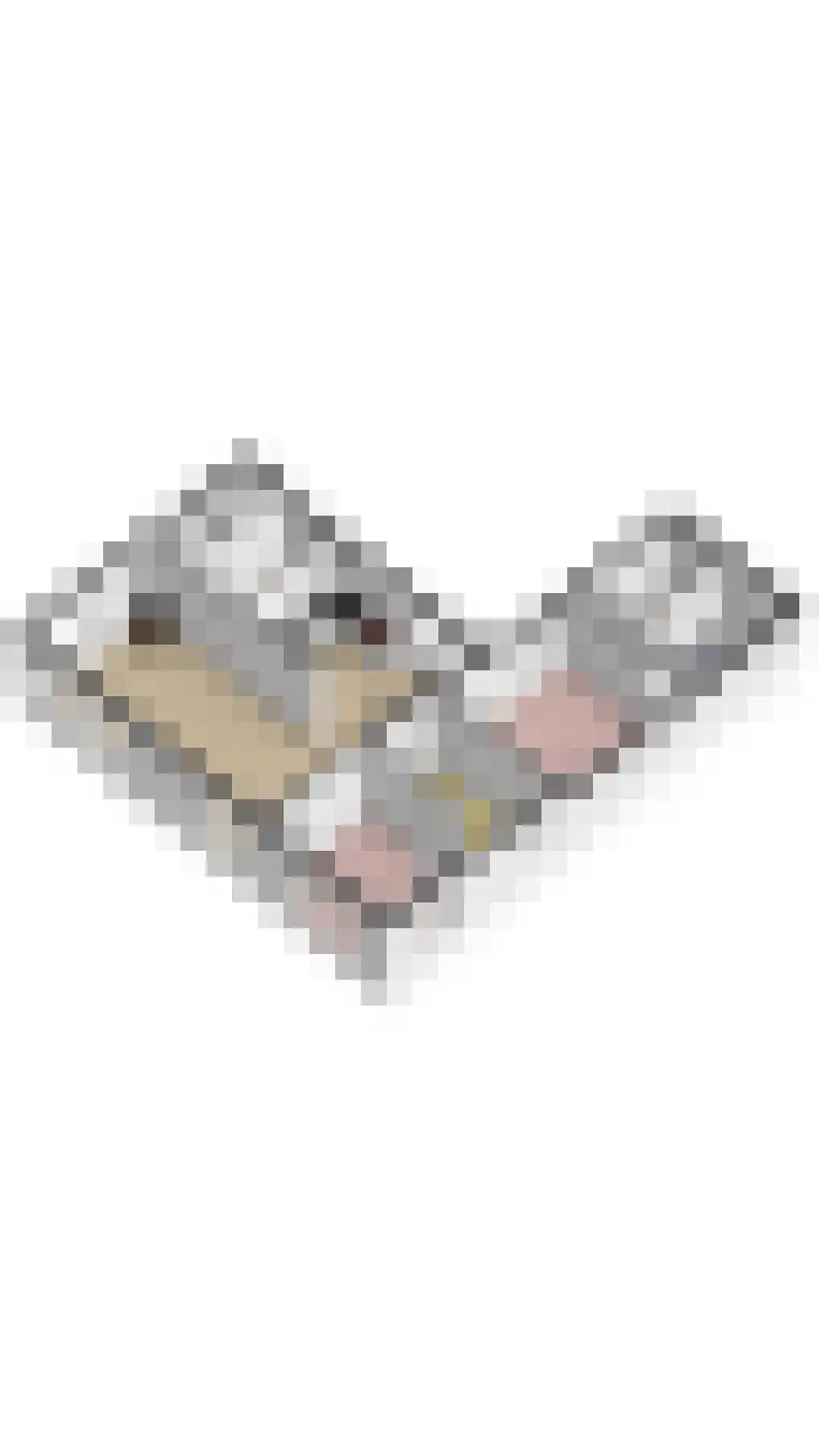 Schoollaan 4 Hem thumbnail 65