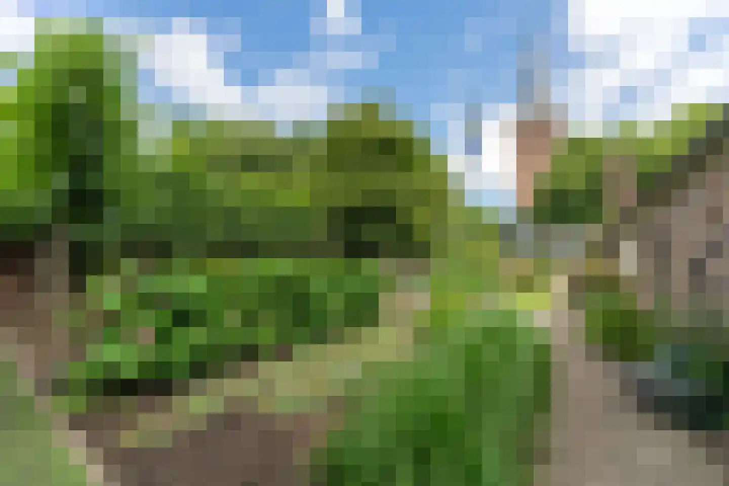 Schoollaan 4 Hem thumbnail 7