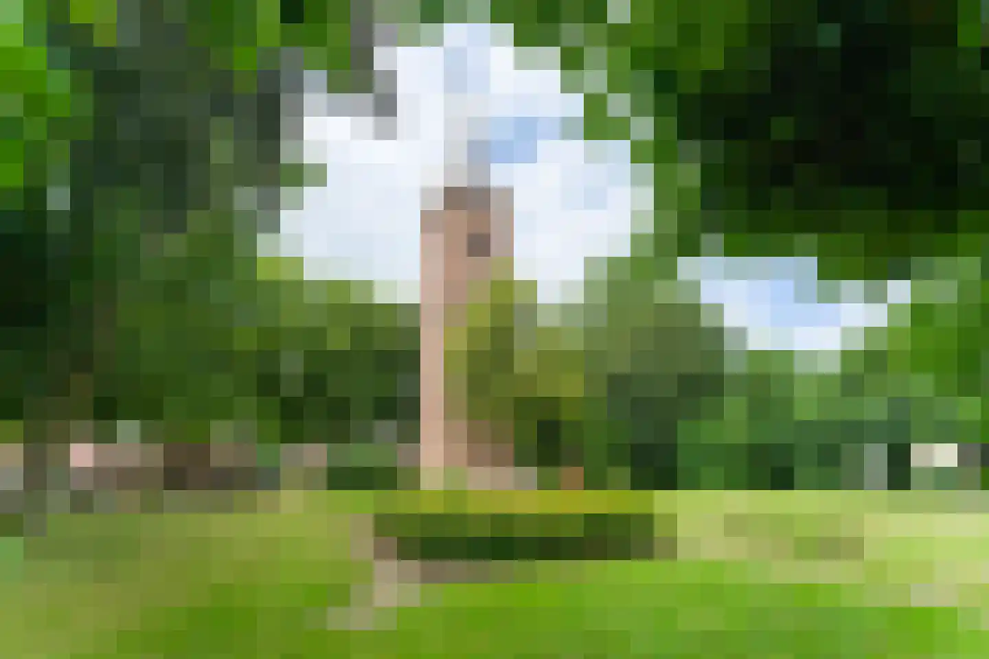 Schoollaan 4 Hem thumbnail 9