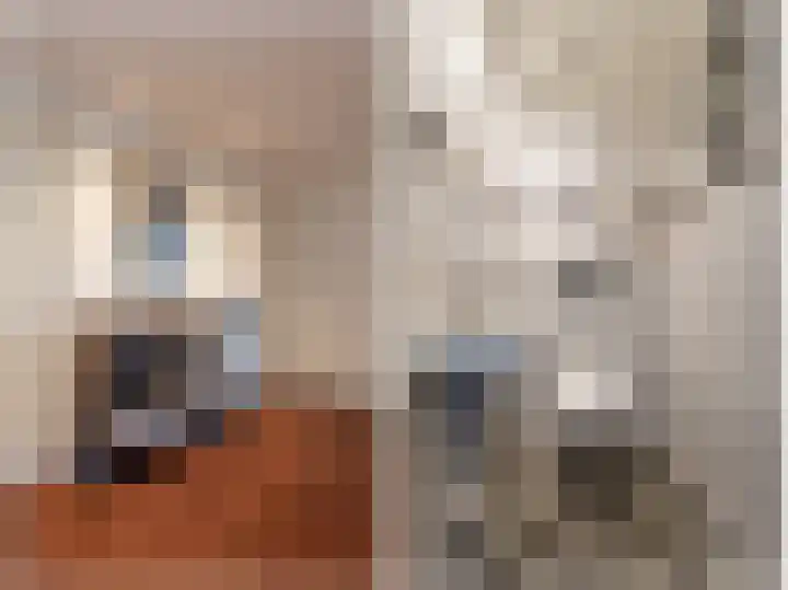Schoollaan 41 Hoogmade thumbnail 12
