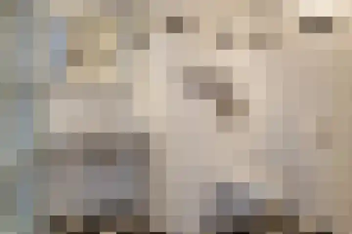 Schoollaan 41 Hoogmade thumbnail 16