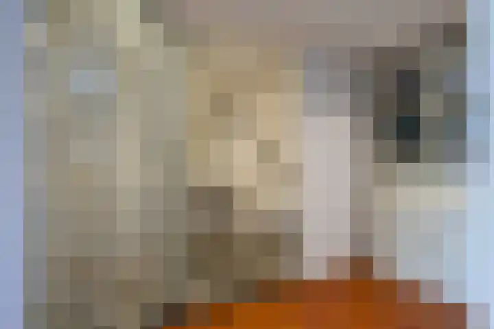 Schoollaan 41 Hoogmade thumbnail 18