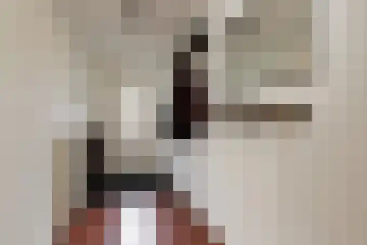 Schoollaan 41 Hoogmade thumbnail 4