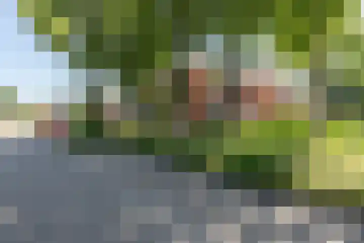Schoollaan 44 Siddeburen thumbnail 11