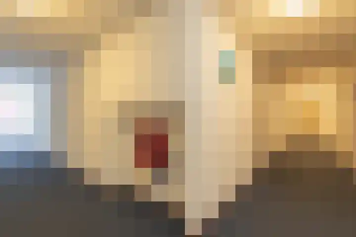 Schoollaan 44 Siddeburen thumbnail 16