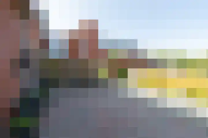 Schoollaan 44 Siddeburen thumbnail 7