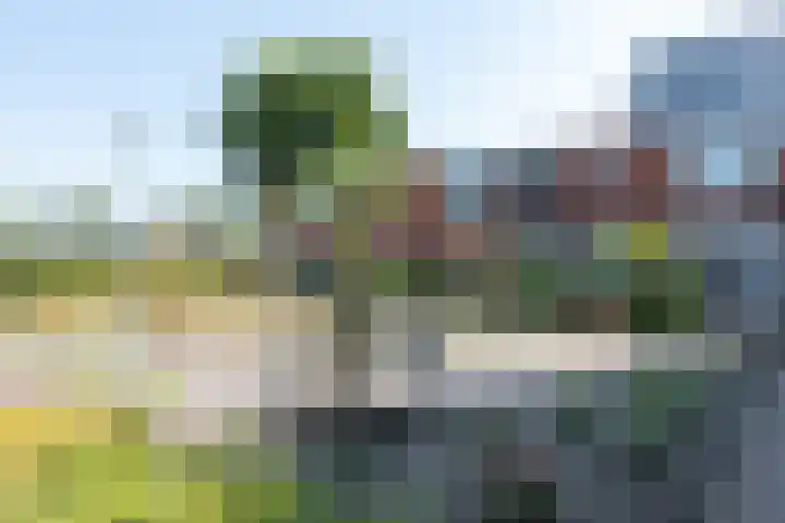 Schoollaan 44 Siddeburen thumbnail 8