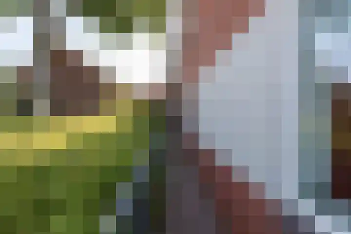 Schoollaan 44 Siddeburen thumbnail 9