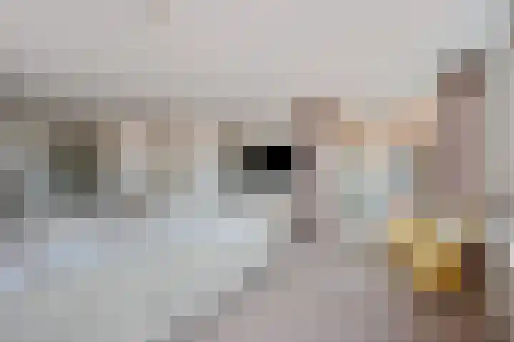 Schoollaan 5 Hoogmade thumbnail 24