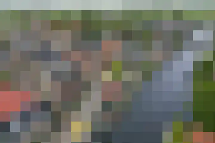 Schoollaan 5 Hoogmade thumbnail 42