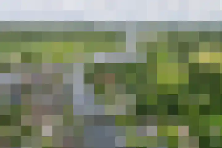 Schoollaan 5 Hoogmade thumbnail 43
