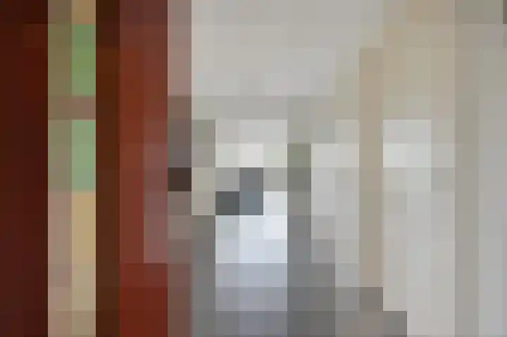 Schoollaan 5 Hoogmade thumbnail 5