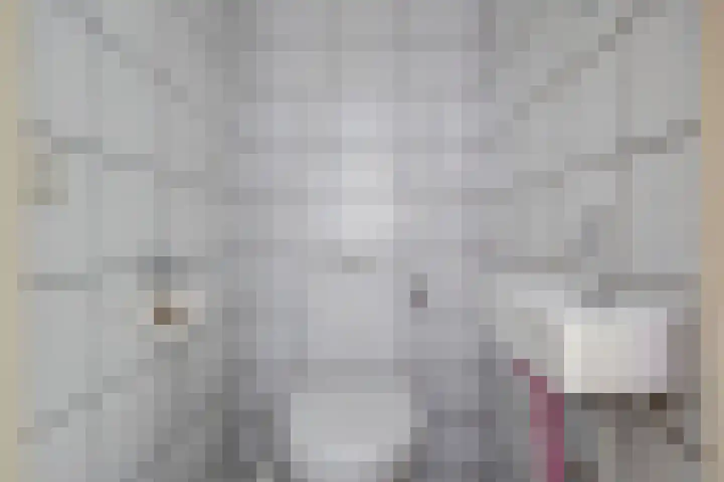 Schoollaan 6 Emmer-Compascuum thumbnail 20
