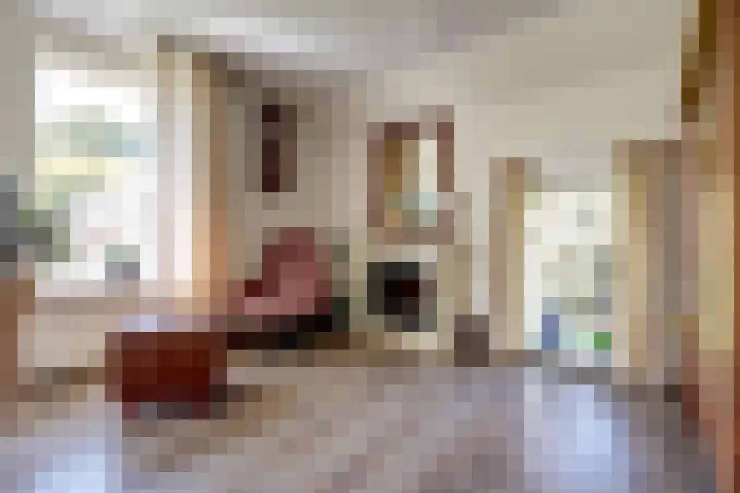 Schoollaan 6 Emmer-Compascuum thumbnail 4