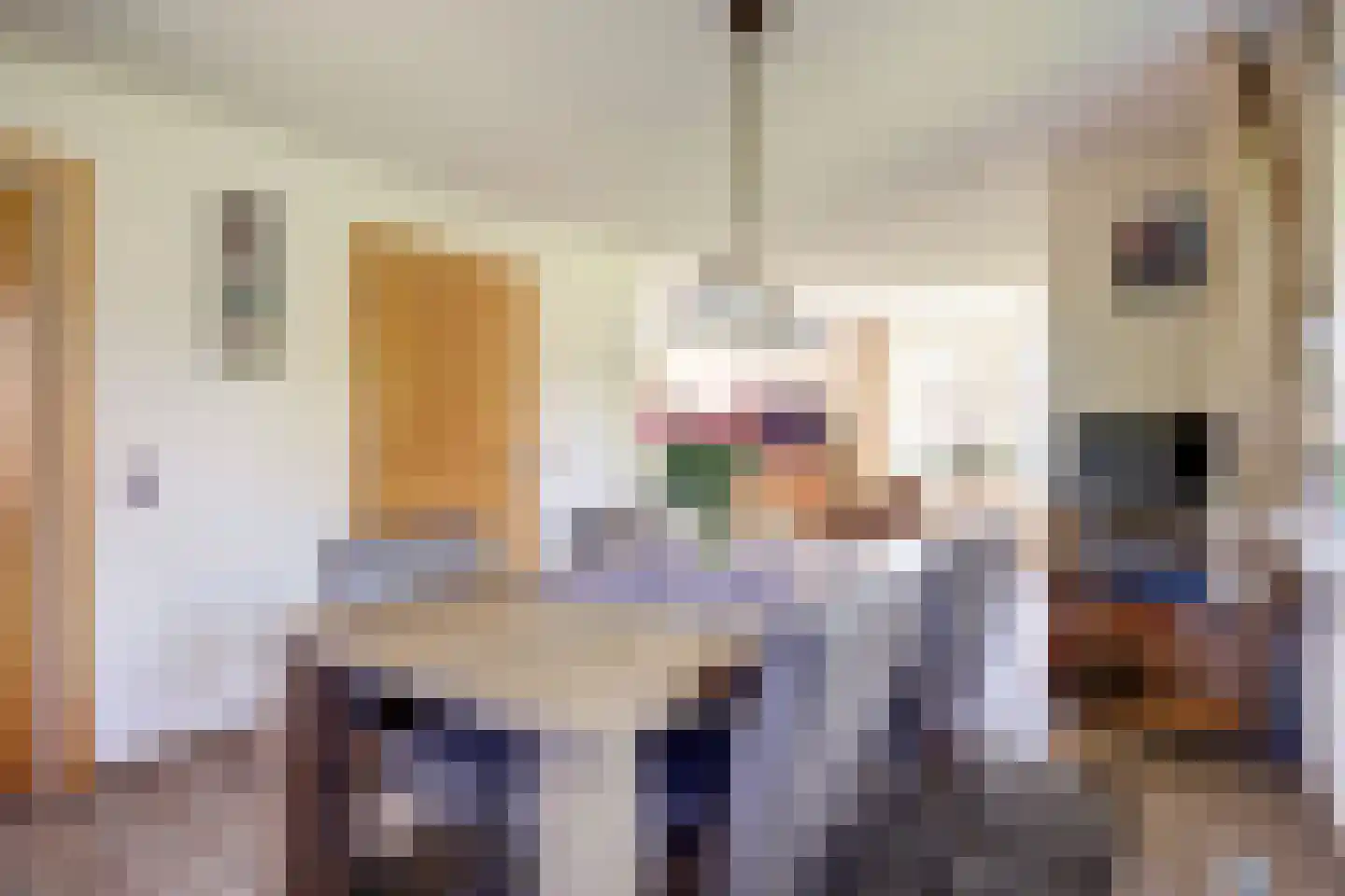 Schoollaan 6 Emmer-Compascuum thumbnail 8