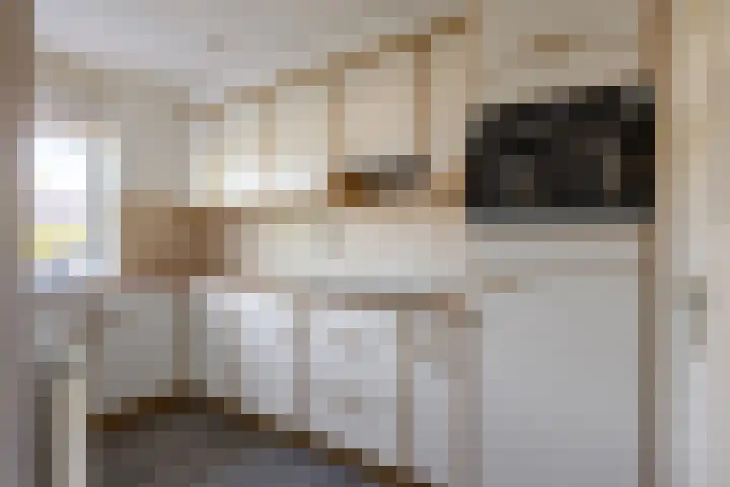 Schoollaan 6 Siddeburen thumbnail 19