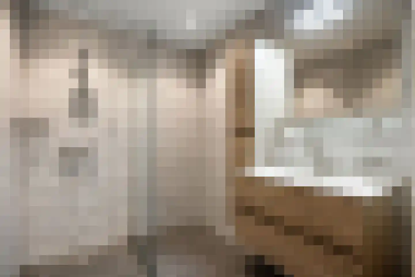 Schoollaan 6 Siddeburen thumbnail 32