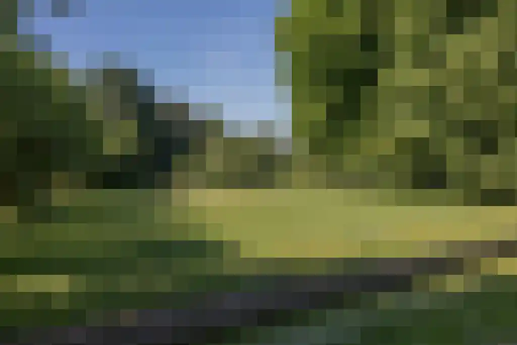 Schoollaan 64 c Bennebroek thumbnail 27