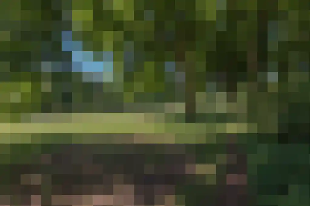 Schoollaan 64 c Bennebroek thumbnail 29