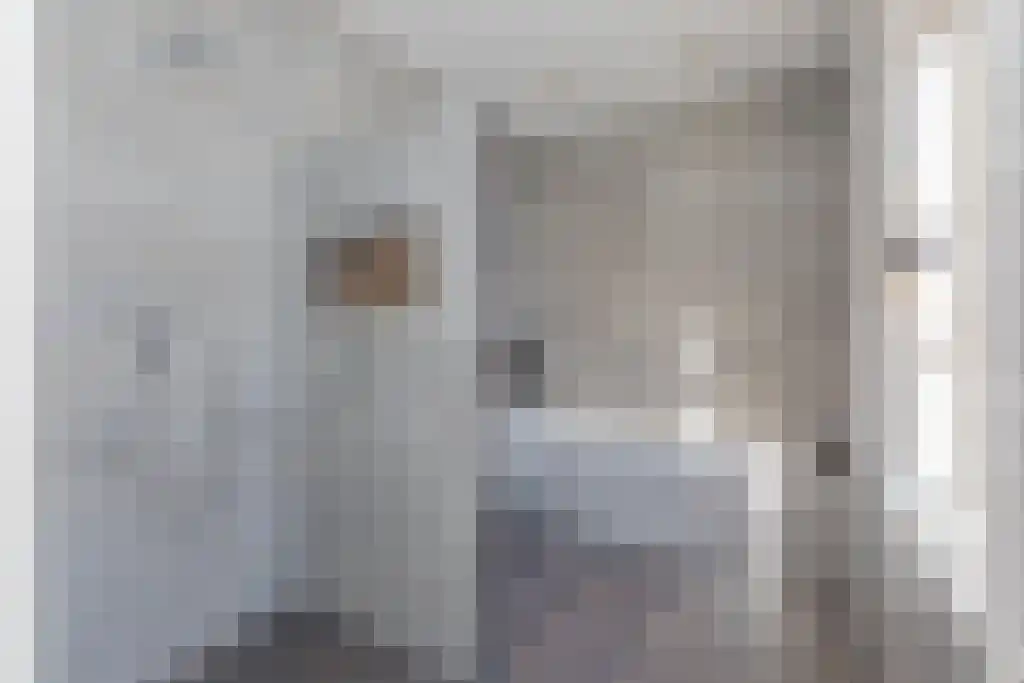 Schoollaan 64 c Bennebroek thumbnail 4