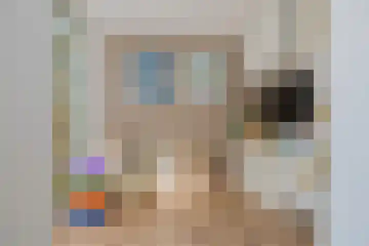 Schoollaan 8 Bennebroek thumbnail 16