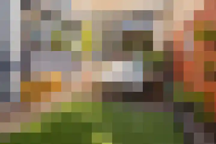 Schoollaan 8 Bennebroek thumbnail 19
