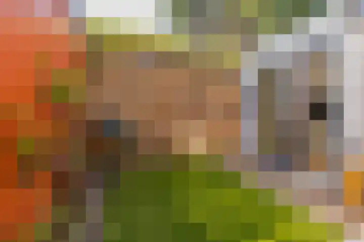 Schoollaan 8 Bennebroek thumbnail 20