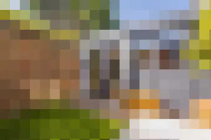 Schoollaan 8 Bennebroek thumbnail 21
