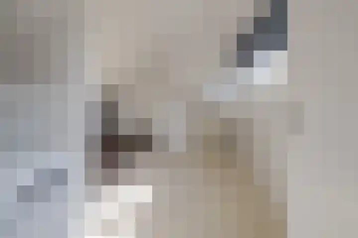 Schoollaan 8 Bennebroek thumbnail 31