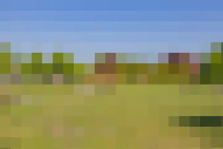 Schoollaan 8 Bennebroek thumbnail 34