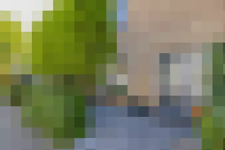 Schoollaan 8 Bennebroek thumbnail 6