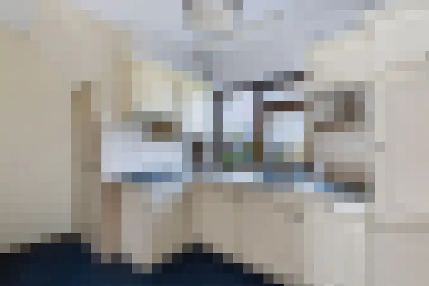 Schoollaantje 1 Tolbert thumbnail 10