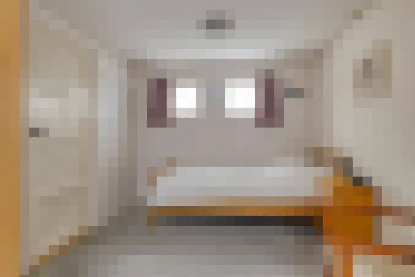Schoollaantje 1 Tolbert thumbnail 13