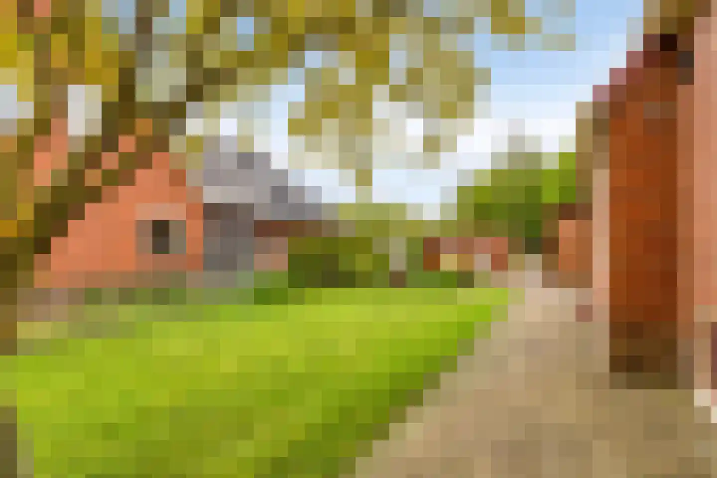Schoollaantje 1 Tolbert thumbnail 21