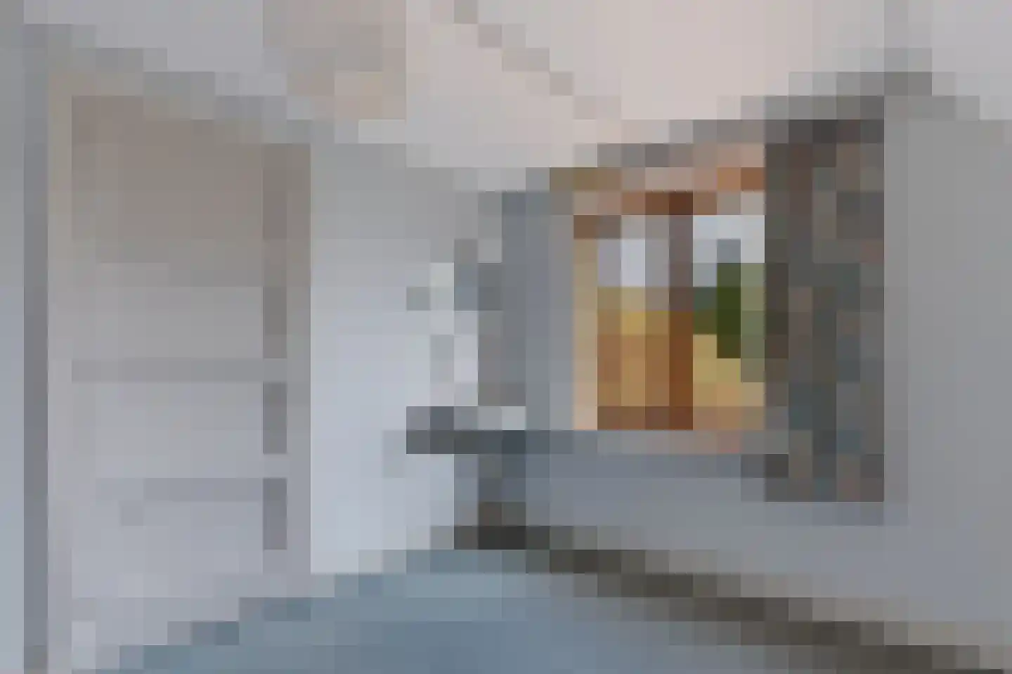 Schoollaantje 1 Tolbert thumbnail 27