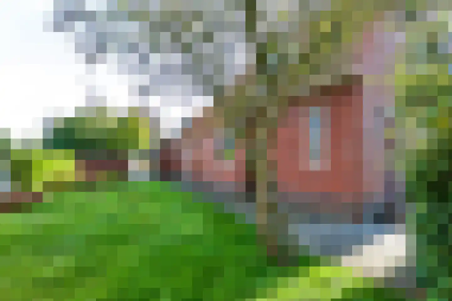 Schoollaantje 1 Tolbert thumbnail 29