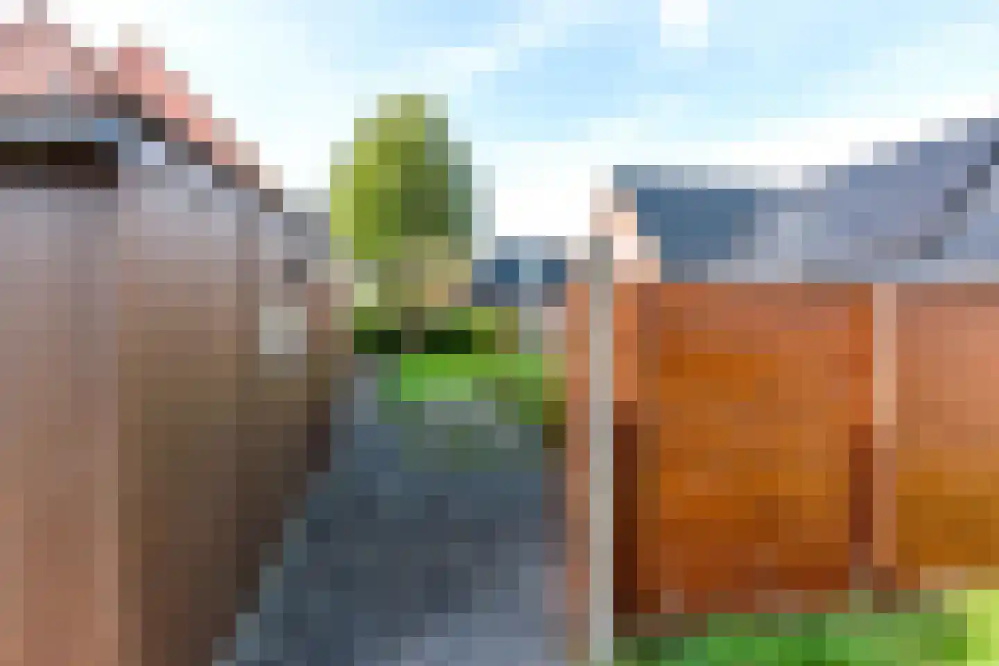 Schoollaantje 1 Tolbert thumbnail 35