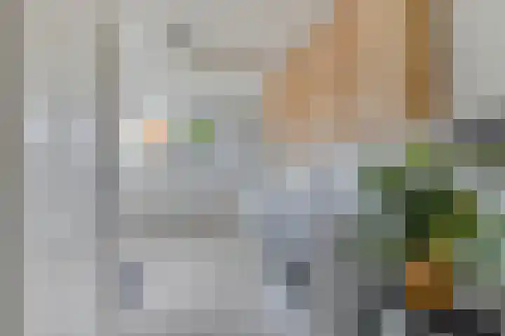 Schoollaantje 21 Roden thumbnail 16