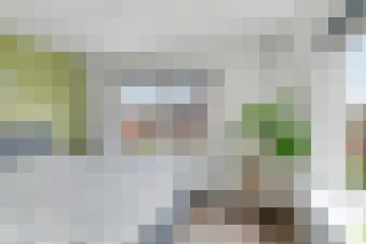 Schoollaantje 21 Roden thumbnail 21