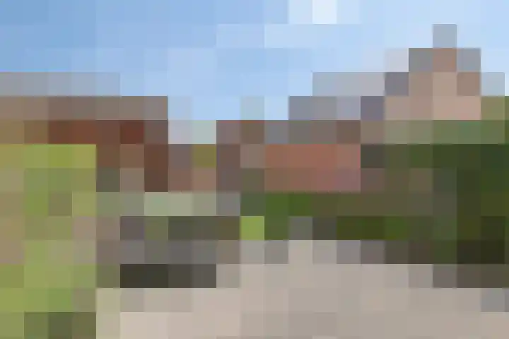 Schoollaantje 21 Roden thumbnail 36