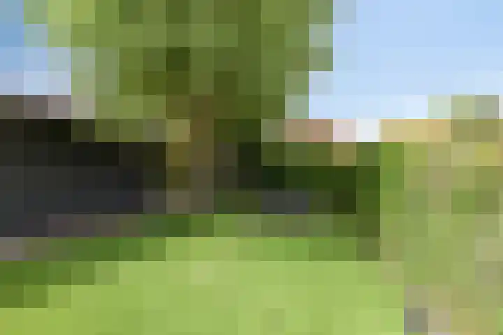 Schoollaantje 21 Roden thumbnail 37
