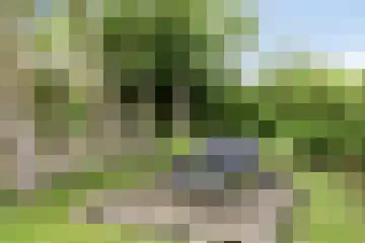 Schoollaantje 21 Roden thumbnail 38