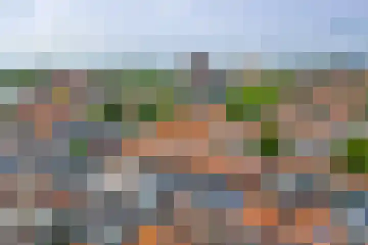 Schoolmeestersstraat 37 Zaandam thumbnail 37